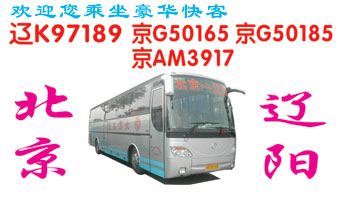 北京到辽阛_片正?></td></tr></table>

            </li>

        </ul>
    </div>
    <div   class="secckyygsee0"   id="content">
        <div   class="secckyygsee0"   id="left_13" style="float:right">
            <p class="xxxx">?font color="#ff6600"> 北京</font> 发往 <font color="#ff6600">辽阳 </font>班R途经及时?</p>
            <p class="xxxx">始发?<font color="#ff6600"> <a href=
