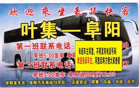 葉集到阜陽名片正面