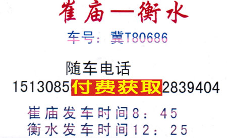 崔廟到衡水名片正面