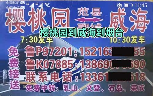 櫻桃園到威海名片正面