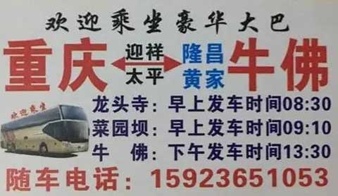重慶到牛佛名片正面