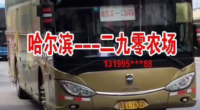 哈爾濱到二九零農(nóng)場(chǎng)名片正面